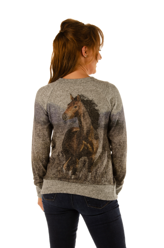 Women's Horse Graphic Cozy Long Sleeve Tee | Beautiful Dreamer